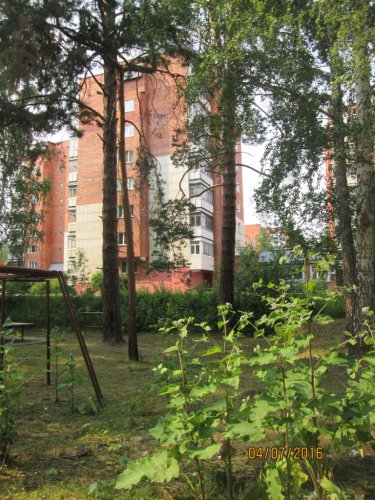 Худшие дворовые площадки Озёрского городского округа Худшие дворовые площадки Озёрского городского округа