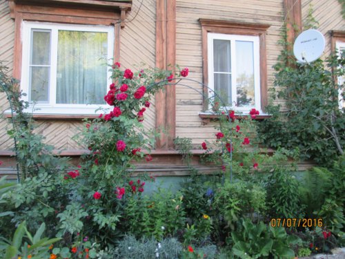 Лучшие дворовые площадки Озёрского городского округа Лучшие дворовые площадки Озёрского городского округа