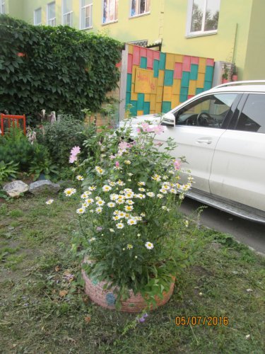 Лучшие дворовые площадки Озёрского городского округа Лучшие дворовые площадки Озёрского городского округа
