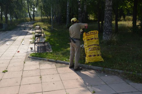 Борьба с мусором продолжается Борьба с мусором продолжается