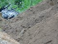 Что нам стоит… лес загадить! Что нам стоит… лес загадить!