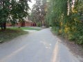 Что нам стоит… лес загадить! Что нам стоит… лес загадить!