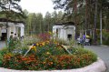 Вместе наведем чистоту в городском парке Вместе наведем чистоту в городском парке