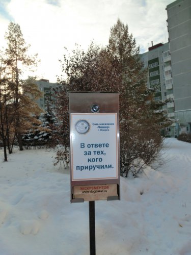 В ответе за тех, кого приручили В ответе за тех, кого приручили