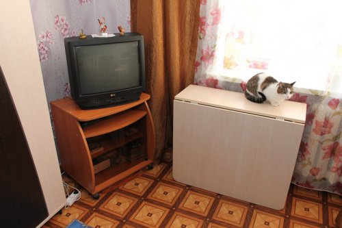 Новосёлы получили уверенность в завтрашнем дне и строят планы на будущее Новосёлы получили уверенность в завтрашнем дне и строят планы на будущее