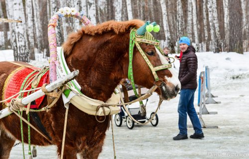 Масленица — 2017 в Озерске. Фоторепортаж Масленица — 2017 в Озерске. Фоторепортаж
