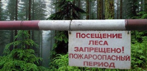 Операция «Лето», или Поджигателям вход воспрещен Операция «Лето», или Поджигателям вход воспрещен