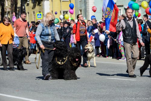Первомай — 2017 в Озёрске. Фоторепортаж Первомай — 2017 в Озёрске. Фоторепортаж