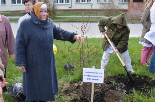 На территории медсанчасти заложена яблоневая аллея На территории медсанчасти заложена яблоневая аллея