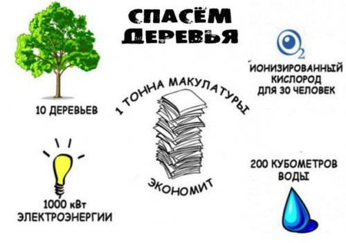 Спасая деревья – спасешь планету! Спасая деревья – спасешь планету!
