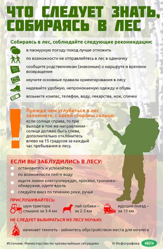 Собираясь в лес, соблюдайте следующие рекомендации Собираясь в лес, соблюдайте следующие рекомендации
