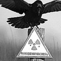 Разошлись миром. Неприятный инцидент с ветеранами благополучно исчерпан