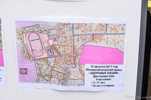 Дождь не стал помехой для истинных физкультурников Дождь не стал помехой для истинных физкультурников