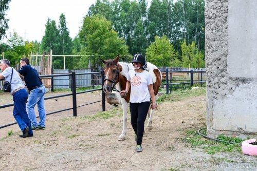 День Флора и Лавра в Horsesburg. Фоторепортаж День Флора и Лавра в Horsesburg. Фоторепортаж