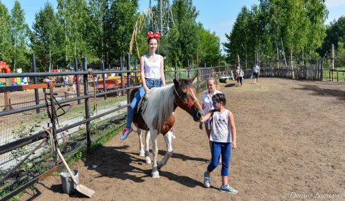 День Флора и Лавра в Horsesburg. Фоторепортаж День Флора и Лавра в Horsesburg. Фоторепортаж