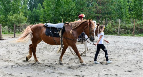 День Флора и Лавра в Horsesburg. Фоторепортаж День Флора и Лавра в Horsesburg. Фоторепортаж