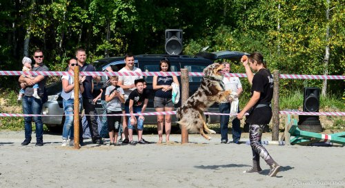 День Флора и Лавра в Horsesburg. Фоторепортаж День Флора и Лавра в Horsesburg. Фоторепортаж