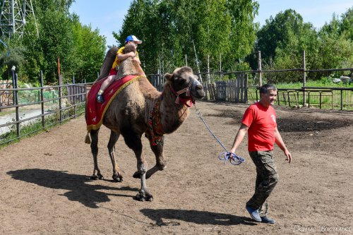 День Флора и Лавра в Horsesburg. Фоторепортаж День Флора и Лавра в Horsesburg. Фоторепортаж