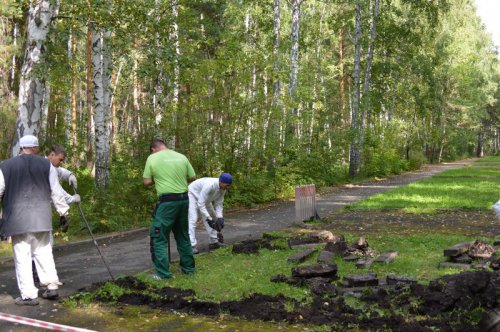 В Парке культуры и отдыха начались работы по реализации социального проекта «Экологическая тропа здоровья»