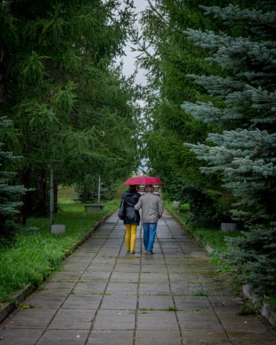 Романтическая прогулка с сюрпризом Романтическая прогулка с сюрпризом