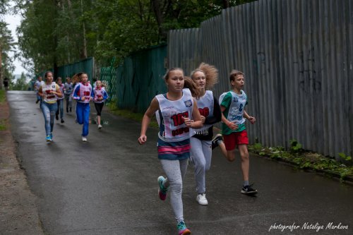 Тесты ГТО кросс и плавание можно сдать в ближайший уик-энд Тесты ГТО кросс и плавание можно сдать в ближайший уик-энд