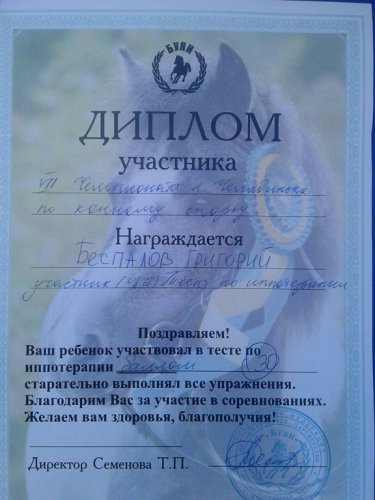 С надеждой в будущее, или Иппотерапия возрождается С надеждой в будущее, или Иппотерапия возрождается