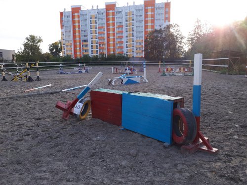 С надеждой в будущее, или Иппотерапия возрождается С надеждой в будущее, или Иппотерапия возрождается