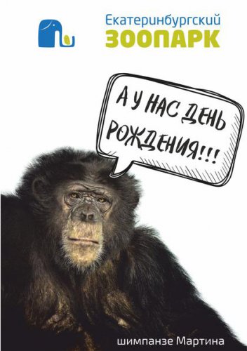 Незаметно пролетело «бабье лето»… Незаметно пролетело «бабье лето»…