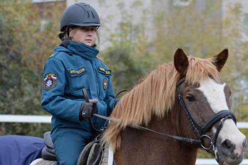 В Озерске появился современный конный манеж В Озерске появился современный конный манеж