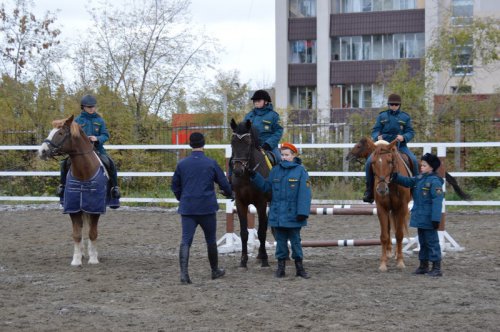 В Озерске появился современный конный манеж В Озерске появился современный конный манеж