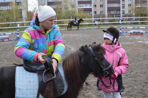 В Озерске появился современный конный манеж В Озерске появился современный конный манеж