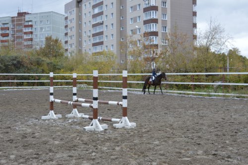 В Озерске появился современный конный манеж В Озерске появился современный конный манеж