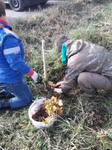 Саженцы с «большой земли» — подарок для Метлино Саженцы с «большой земли» — подарок для Метлино