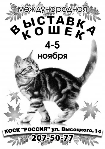 Страна отмечает День народного единства! Страна отмечает День народного единства!