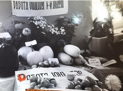 Детскому эколого-биологическому центру – 65 лет! Детскому эколого-биологическому центру – 65 лет!