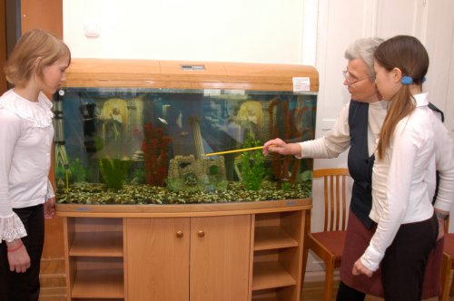 Детскому эколого-биологическому центру – 65 лет! Детскому эколого-биологическому центру – 65 лет!