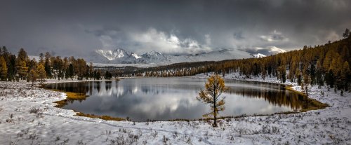 Озёрскому фотографу присвоено международное звание Озёрскому фотографу присвоено международное звание