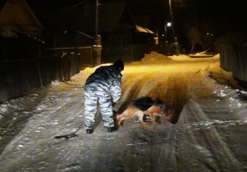 Грабитель, только вышедший из тюрьмы, вновь принялся за старое Грабитель, только вышедший из тюрьмы, вновь принялся за старое