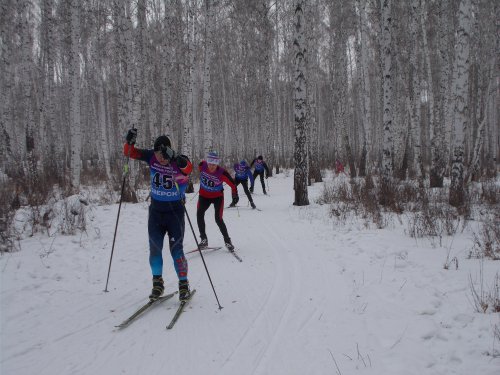 Открытое Первенство Озерского городского округа по лыжным гонкам. Итоги Открытое Первенство Озерского городского округа по лыжным гонкам. Итоги