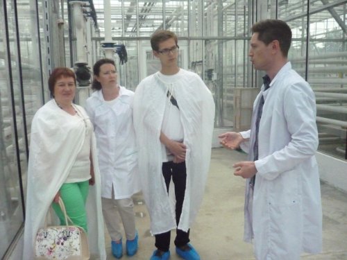 Теплицы ДЭБЦ ожили в заботливых руках Теплицы ДЭБЦ ожили в заботливых руках