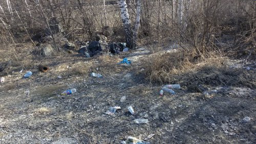 Территория вблизи Ильменского заповедника превратилась в свалку Территория вблизи Ильменского заповедника превратилась в свалку