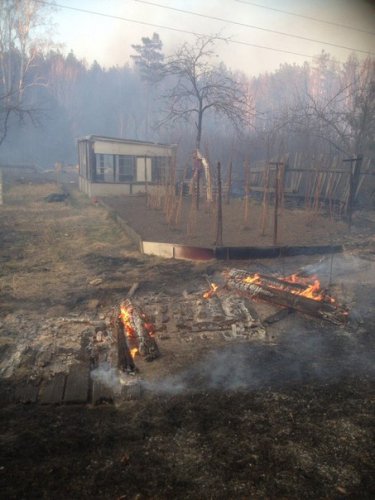 Лесной пожар уничтожил 30 домов под Кыштымом Лесной пожар уничтожил 30 домов под Кыштымом