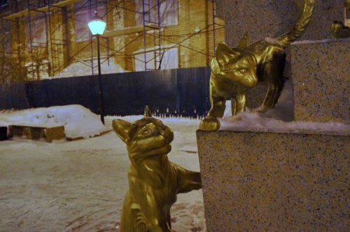 Тюмень: светофоры, кошки и источники Тюмень: светофоры, кошки и источники