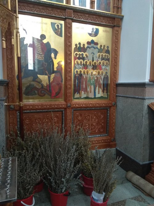 Вербное в Озерске Вербное в Озерске
