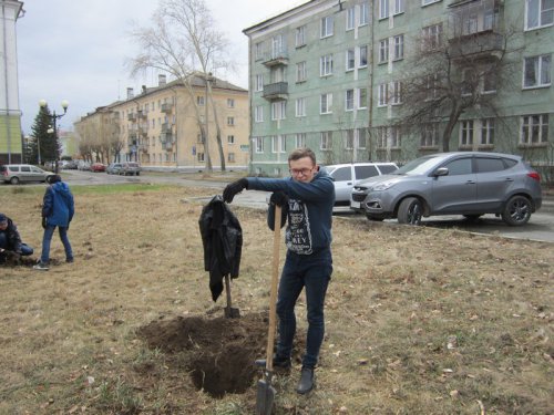 Благодаря волонтерам старые газеты стали саженцами Благодаря волонтерам старые газеты стали саженцами