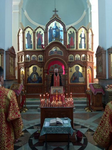 С благодарностью живым и павшим С благодарностью живым и павшим
