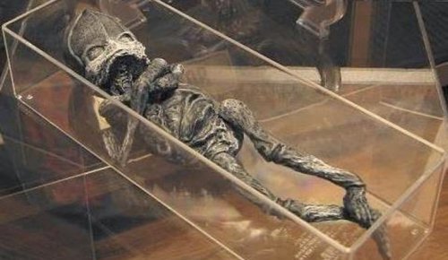 Новый свидетель. История гуманоида Алёшеньки получит продолжение? Новый свидетель. История гуманоида Алёшеньки получит продолжение?