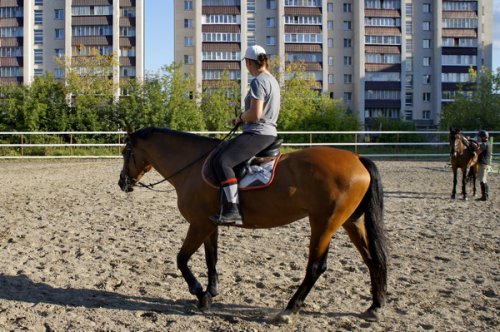 Воспитанникам озёрского детского эколого-биологического центра подарили кенгуру. Фоторепортаж Воспитанникам озёрского детского эколого-биологического центра подарили кенгуру. Фоторепортаж