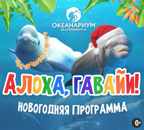 Последняя афиша 2020-го года!
