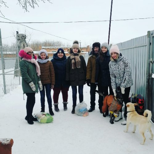 13 февраля озерский фонд помощи животным провёл «День добрых дел»